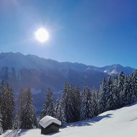 Gemütliches In *